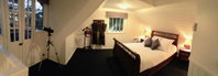 Wild Orchid Olinda