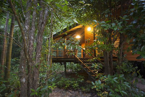 Wildwood - Stays Accommodation 0