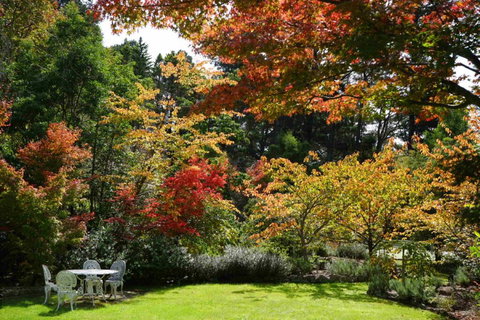 Wimbeldon - Stayed 3