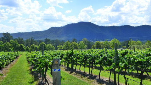 Winmark Wines - Stays Accommodation 1