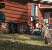 Wonderland Cottages - Stays Accommodation