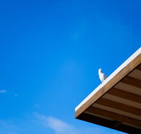 Wye Not Escape - Stayed