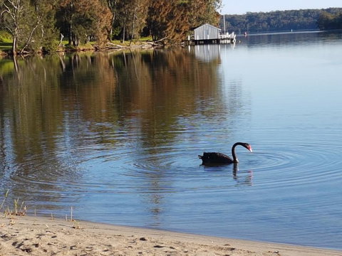 Wyreepi River Cottage - Stayed 3