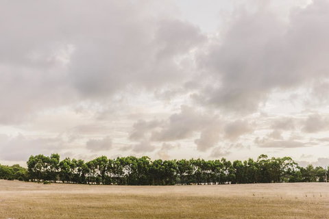 Yallingup Lodge Spa Retreat - Stays Accommodation 0