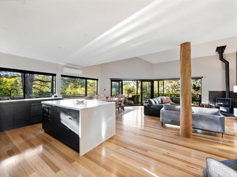 Abundance - Stayed 1