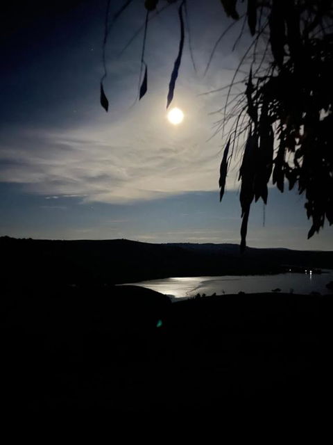 Amazing Views Pet Friendly Bed And Breakfast - Stayed 1