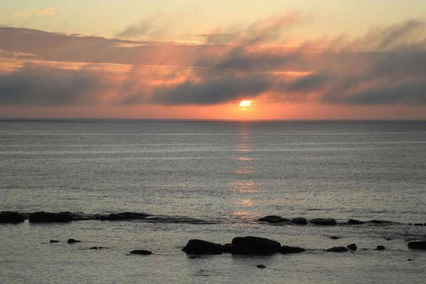 Augusta Beachfront - Watch The Whales Go By - Stayed 1