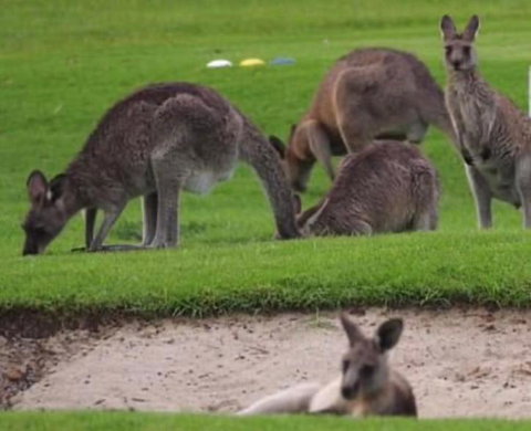 B & B On The Water - Stays Accommodation 3