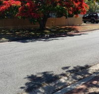 Baringa Bed & Breakfast - Stayed