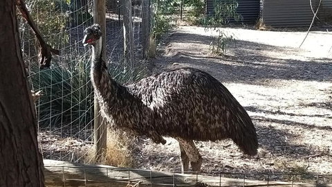 BAROSSA HILLS COTTAGES - Stayed 3