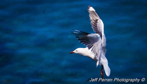 La Promenade - Stayed 14