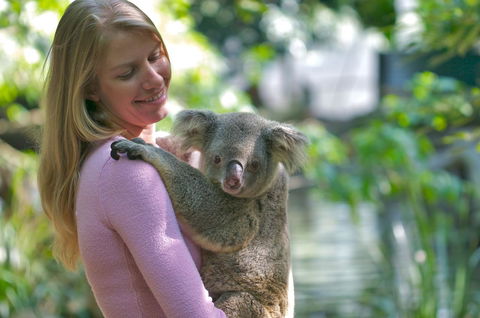 Martinique On Macrossan - Stayed 30