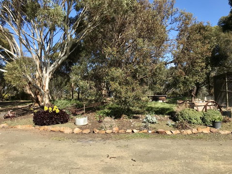 Beeâ€™s Place - 3 Bedroom Home On 10 Acres Of Land With Distant Ocean Views - Stayed 15
