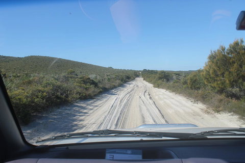 The Boarding House - Stayed 25