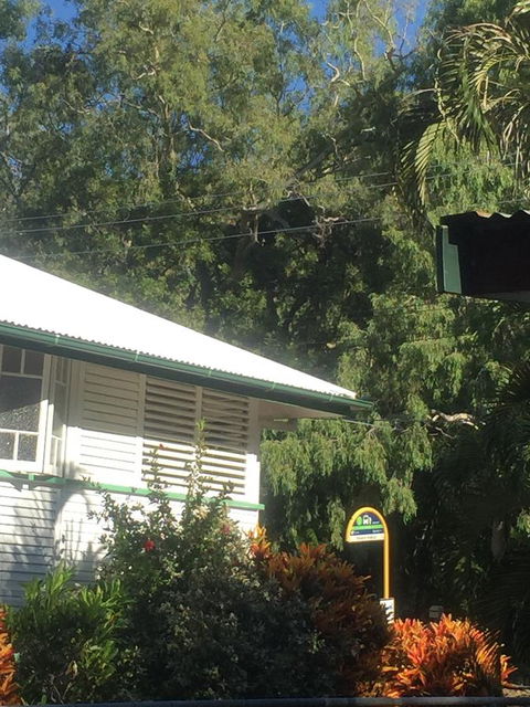 Daggoombah Holiday Home Magnetic Island - Stayed 15