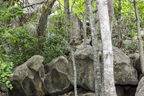 Manyana, 3 Opalia Court - Stayed 6