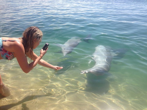 Sea Shanties - Stayed 10