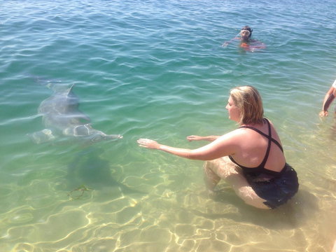 Sea Shanties - Stayed 4