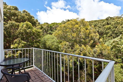 The Islander - Stayed 2