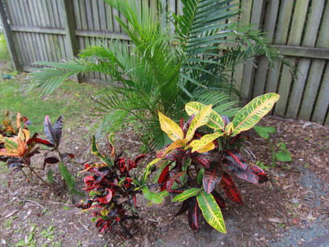 Beachside By Discover Stradbroke - Stayed 4