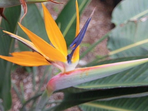 Beachside By Discover Stradbroke - Stayed 2
