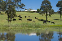 Book Nabiac Accommodation Vacations Stayed Stayed