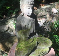 'The Tree House.' Treetop living near the ocean Coolum Beach QLD Australia