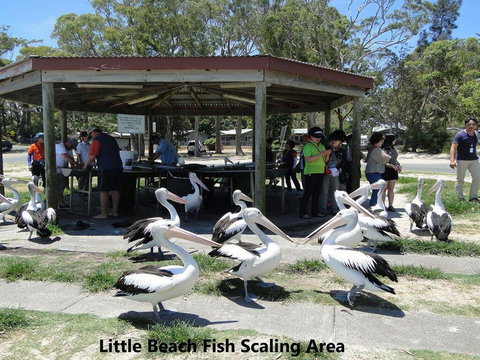 19 'Bay Parklands', 2 Gowrie Avenue - Ground Floor Renovated Unit With Water Views & WIFI - Stayed 3