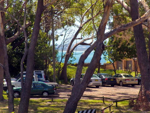 4 'Magnus Gardens', 7 Magnus St - Beautiful Air Conditioned Unit With Filtered Water Views & WIFI - Stayed 1