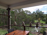 Book Upper Coomera Accommodation Vacations Stayed Stayed
