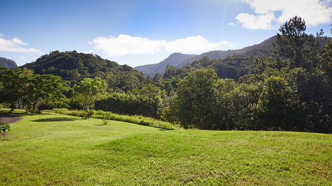 A View Of Mount Warning - Stayed 2