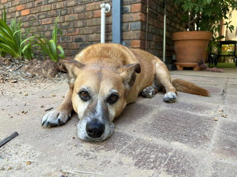 Diamond Lake Escape - Stayed 1