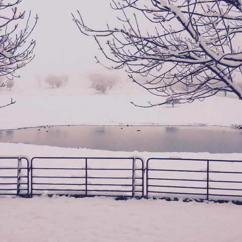 Drayshed Cottage - Stayed 4