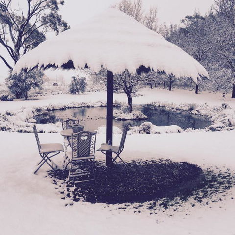 Drayshed Cottage - Stayed 3