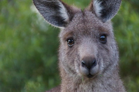 Gipsy Point Lakeside - Stayed 4