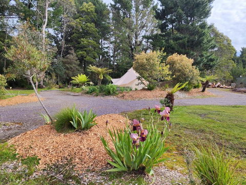 Glamping At Zeehan Bush Camp - Stayed 1