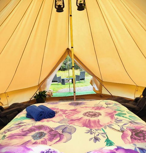Glamping At Zeehan Bush Camp - Stayed 0