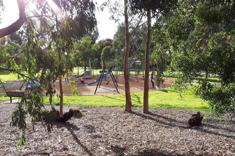 Harp Haven - Contemporary In Suburban Tree Lined Kew - Stayed 1