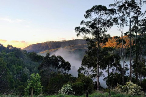 HILLSIDE HOUSE - Stayed 2