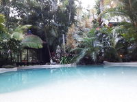 Book Eudlo Accommodation Vacations Stayed Stayed