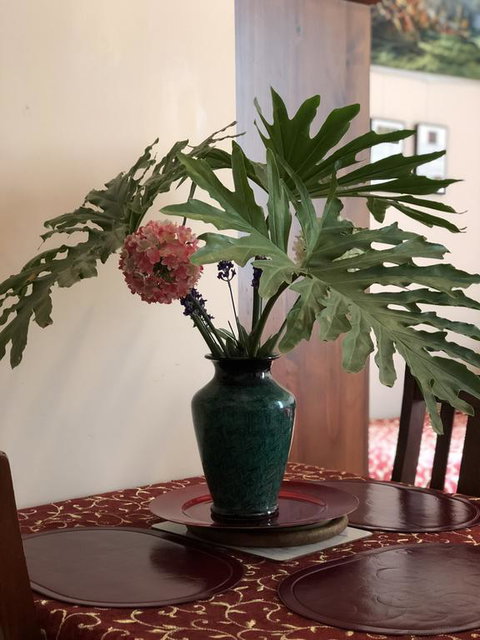 Albany Foreshore Guest House - Stayed 3
