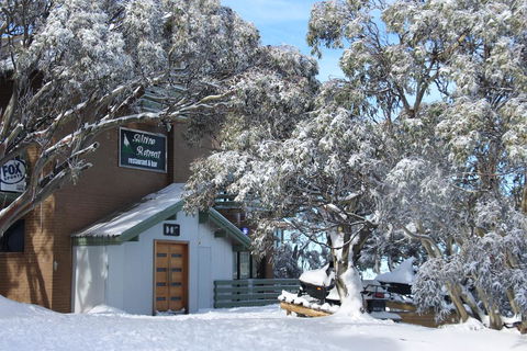 Alpine Retreat Mt Buller - Stayed 0