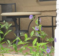 Amalie Cottage Waikerie - Stayed