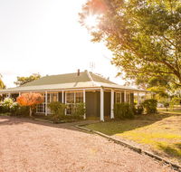 Among the Vines - Stayed