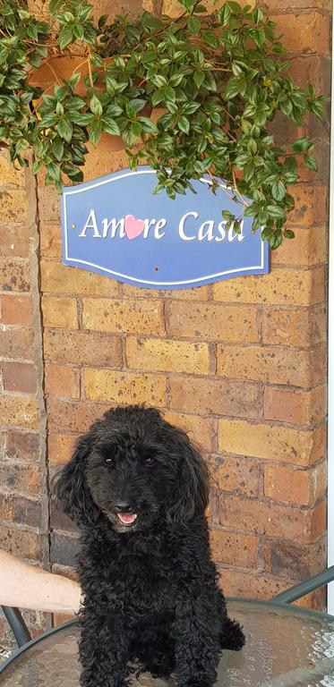 Amore Casa Tenterfield - Stayed 2
