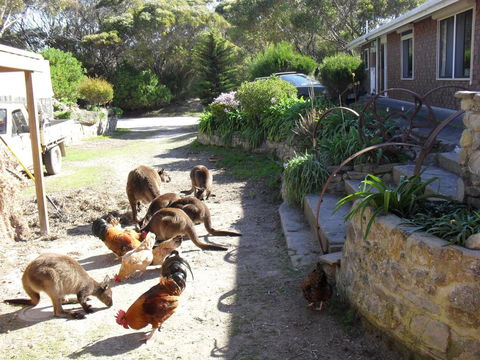 Anchorage Apartments - Stayed 0