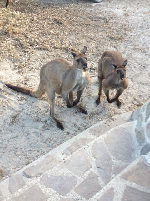 Anchorage Apartments - Stayed 1