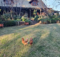 Angaston by the Winter Creek - Stayed