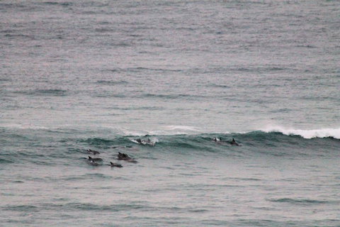 Apartment On King Street - Stayed 1