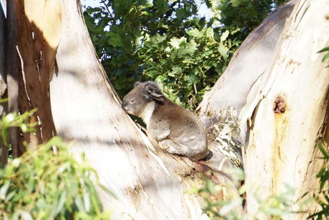 Apollo Panorama Guesthouse - Stayed 2